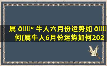 属 🌺 牛人六月份运势如 🌴 何(属牛人6月份运势如何2020)